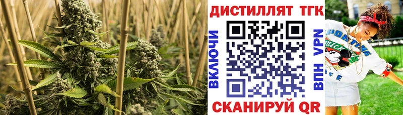 Купить где  Апшеронск  ТГК THC oil 