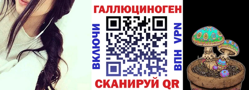 Псилоцибиновые грибы Psilocybe Купить Апшеронск